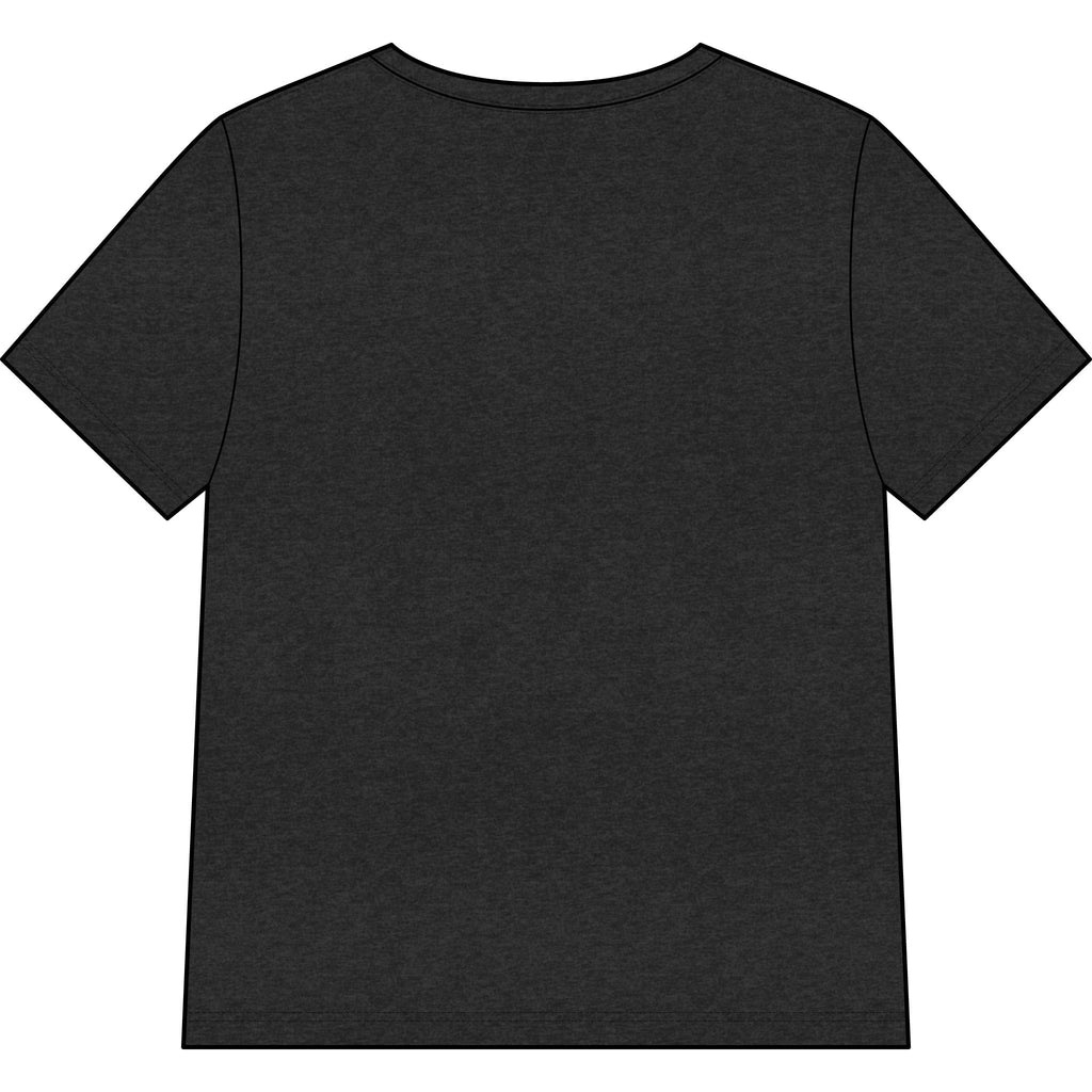 Chosen — SAGE — Christian Women's V-Neck Tee