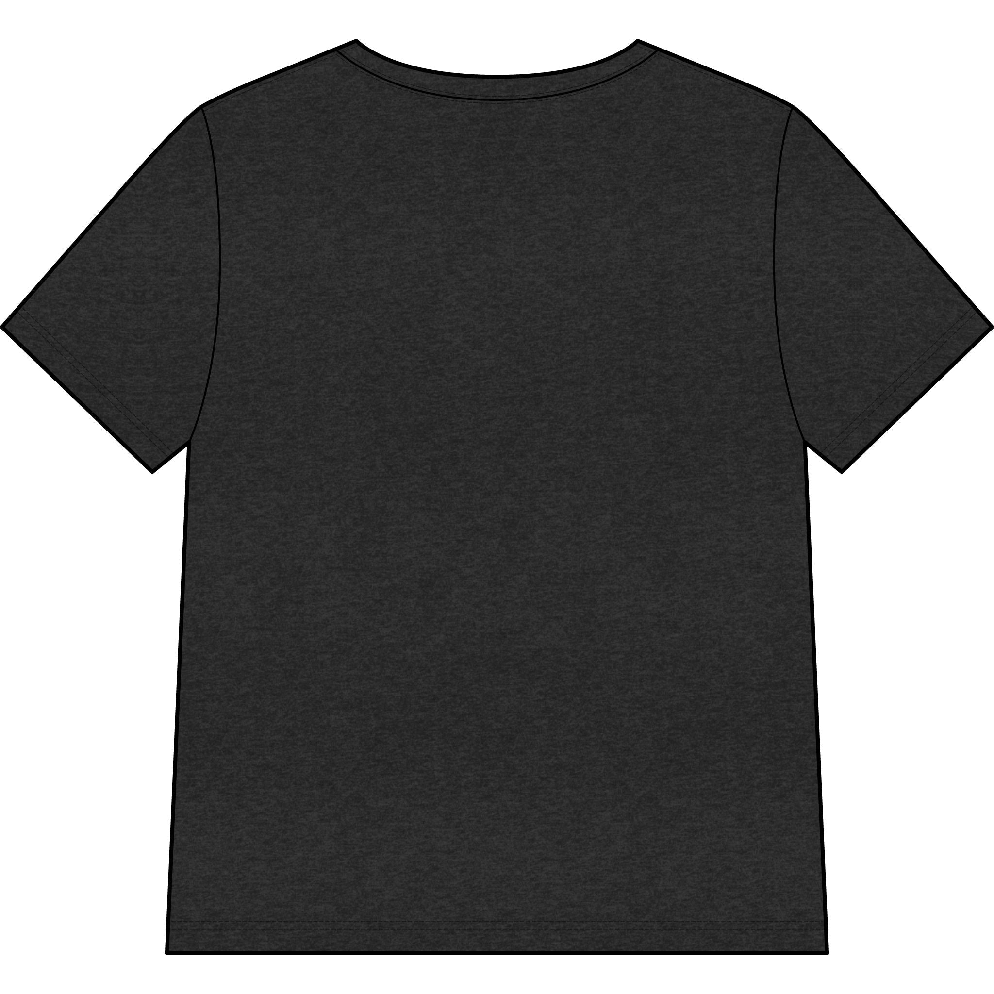Chosen — SAGE — Christian Women's V-Neck Tee