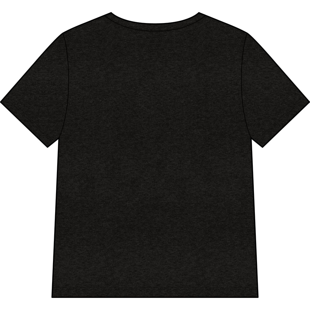 Chosen — SAGE — Christian Women's V-Neck Tee