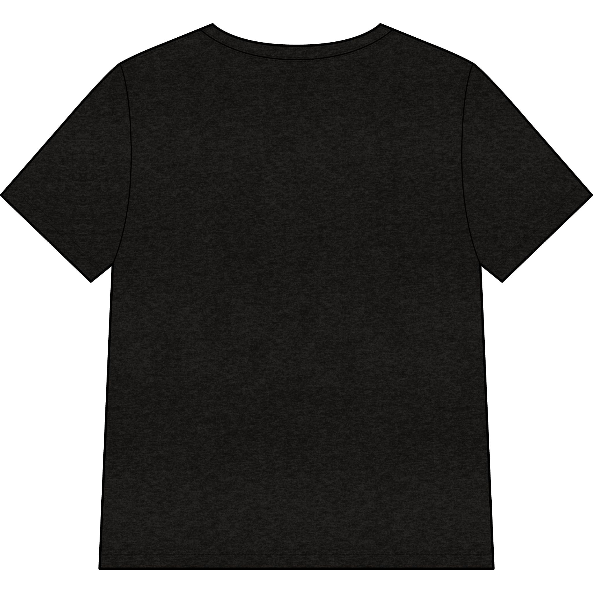 Chosen — SAGE — Christian Women's V-Neck Tee