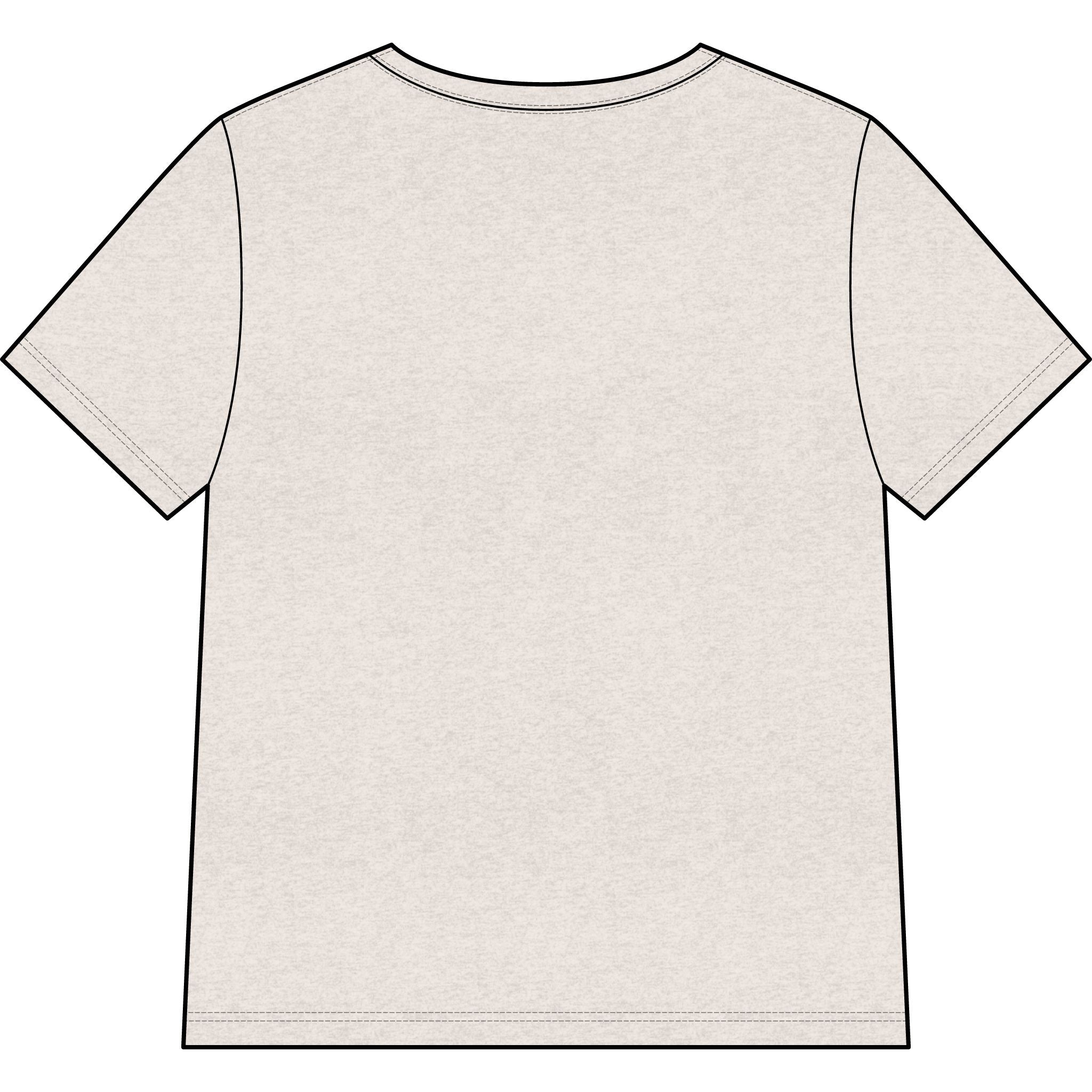 Chosen — SAGE — Christian Women's V-Neck Tee