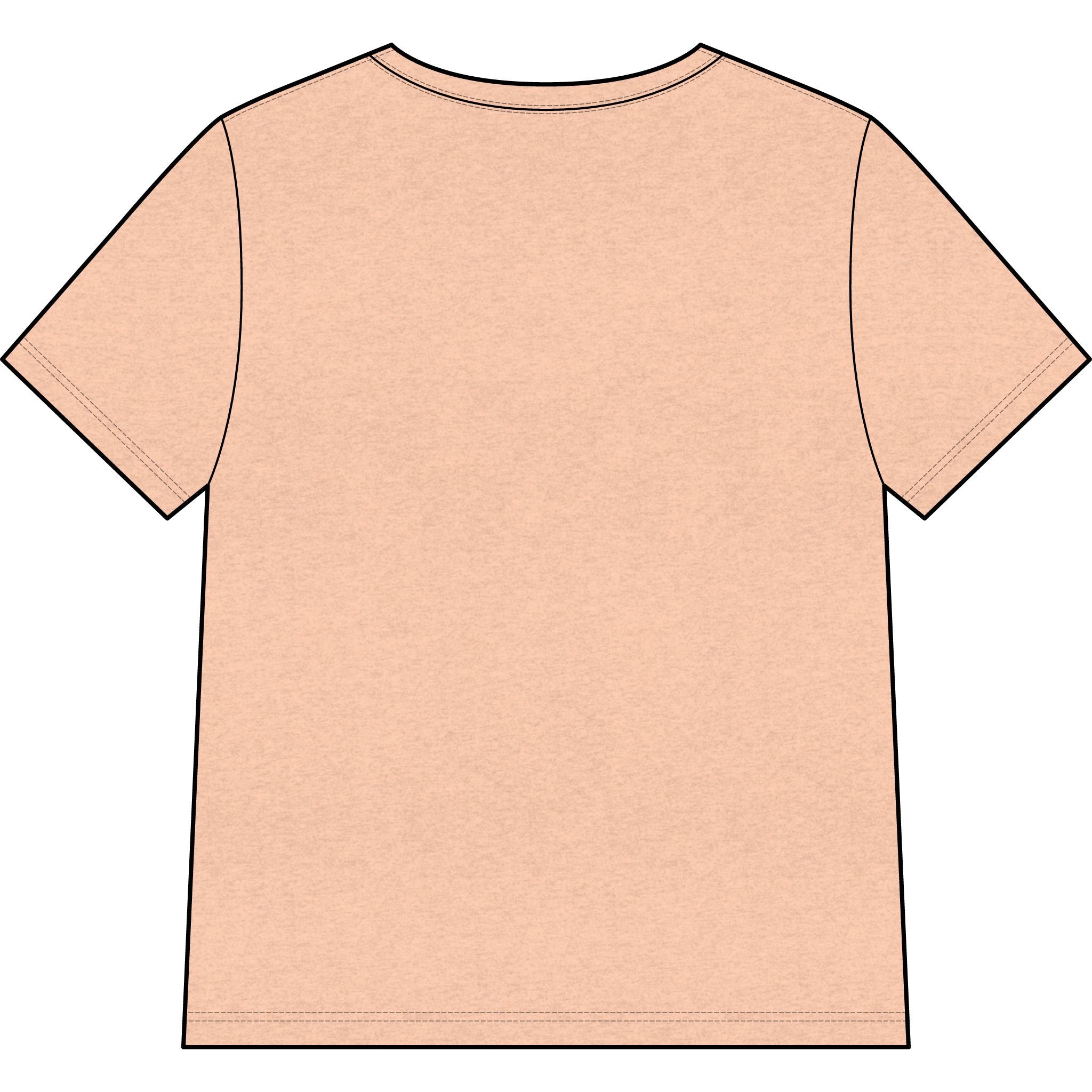 Chosen — SAGE — Christian Women's V-Neck Tee