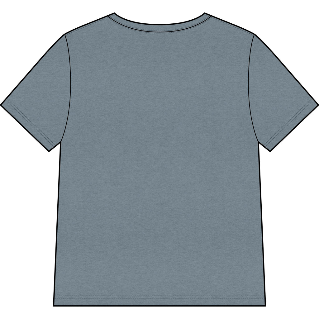 Chosen — Pale Pink — Christian Women's V-Neck Tee