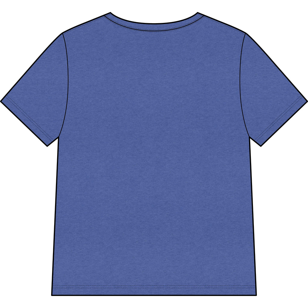 Chosen — Pale Pink — Christian Women's V-Neck Tee
