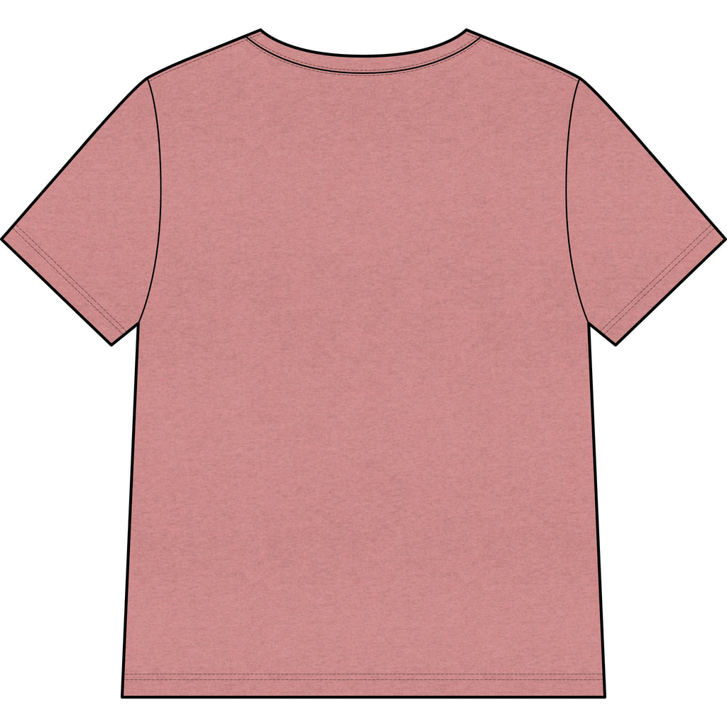 Chosen — Pale Pink — Christian Women's V-Neck Tee