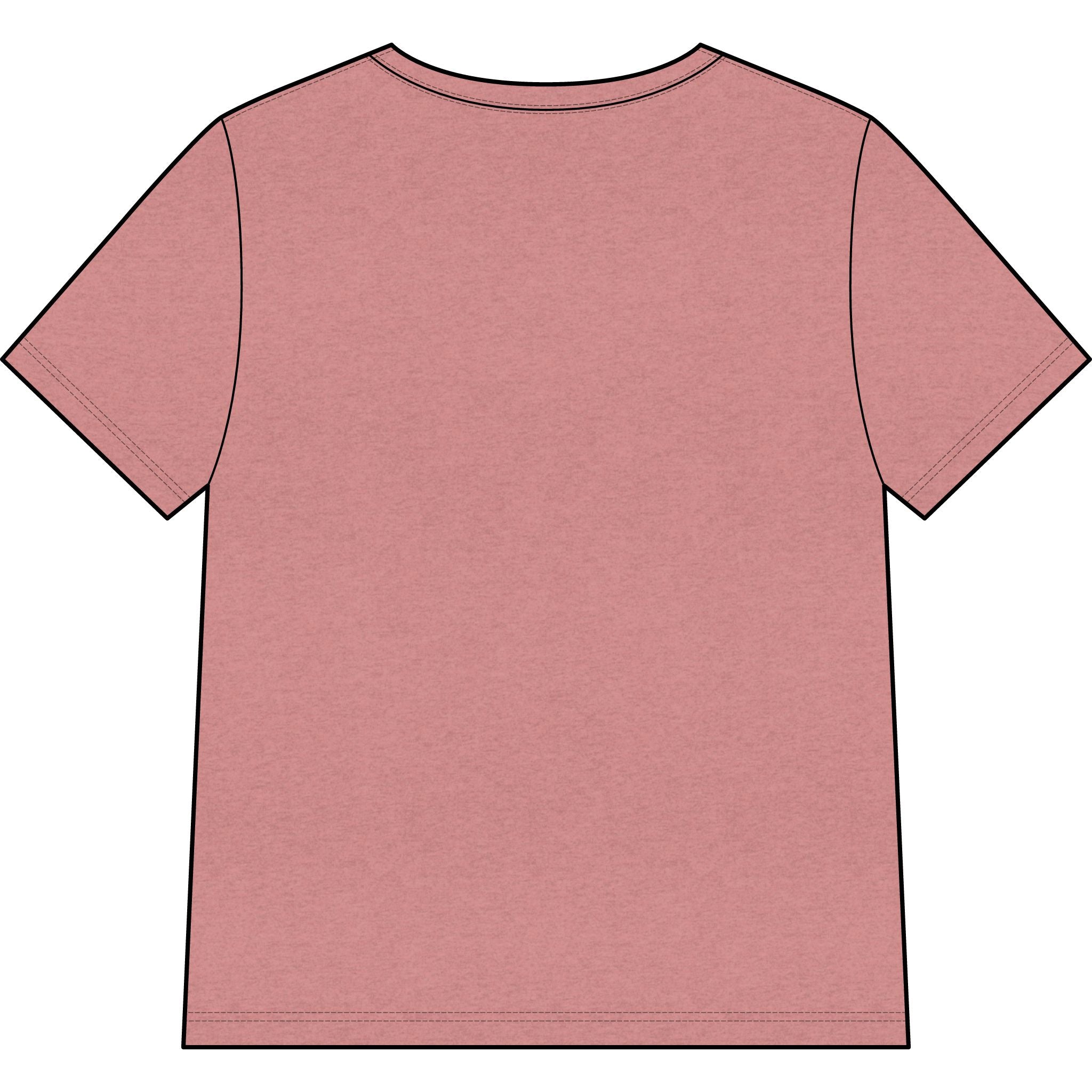 Chosen — Pale Pink — Christian Women's V-Neck Tee